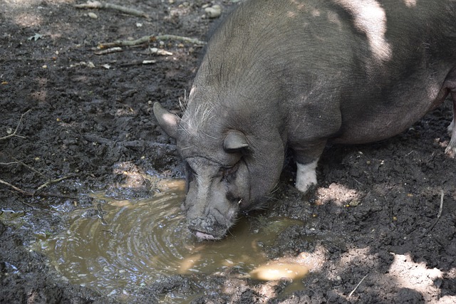 即便是最先 即便是最先