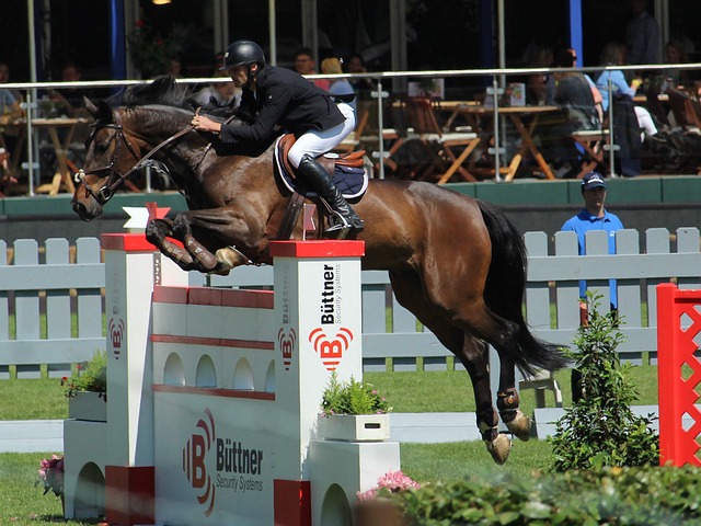 应上表现出 应上表现出