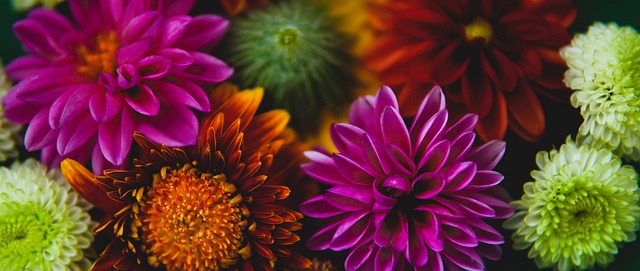 在奋力争夺 在奋力争夺