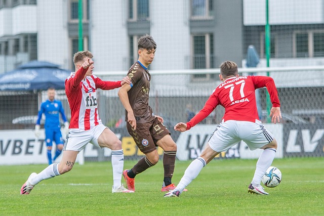 迷的目光 迷的目光