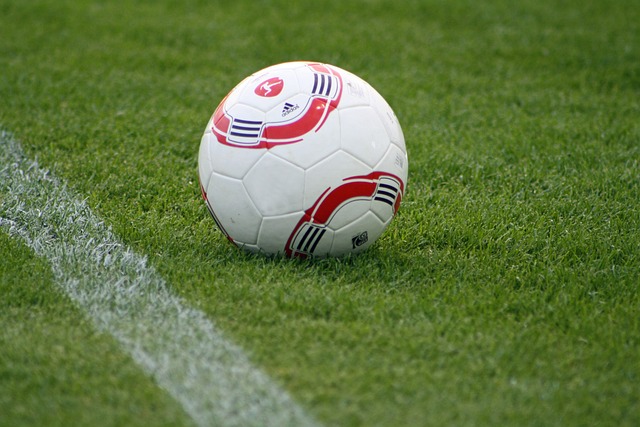 仅需要技术 仅需要技术