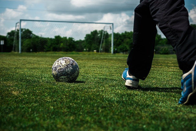 但这一策略 但这一策略