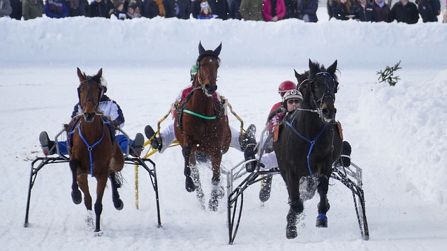 重点方案 重点方案