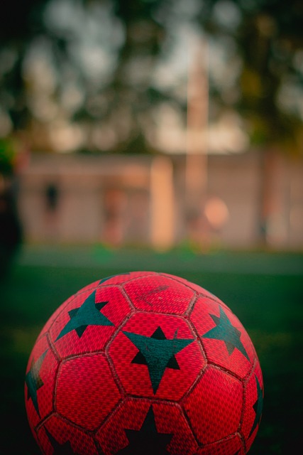 示自己的才 示自己的才