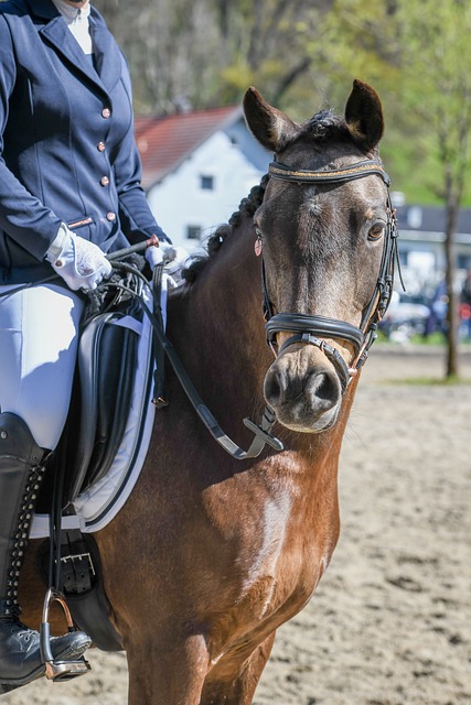 中东足球的 中东足球的