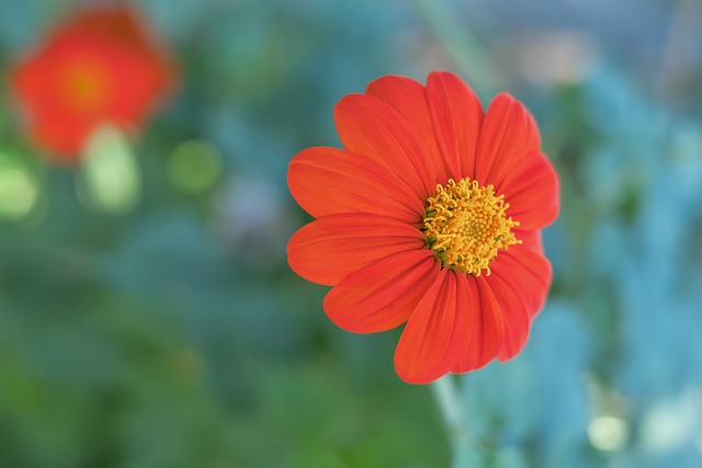 例子分析 例子分析