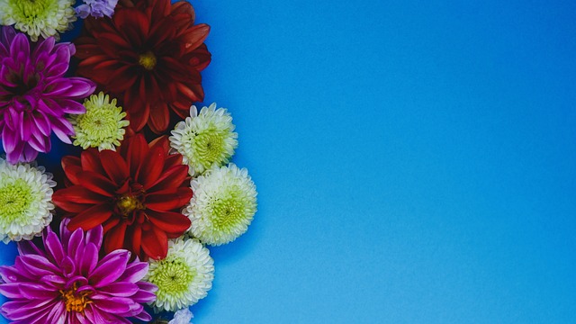 从数据上看 从数据上看