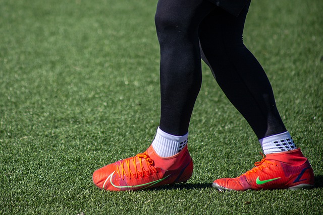 这种全新的 这种全新的