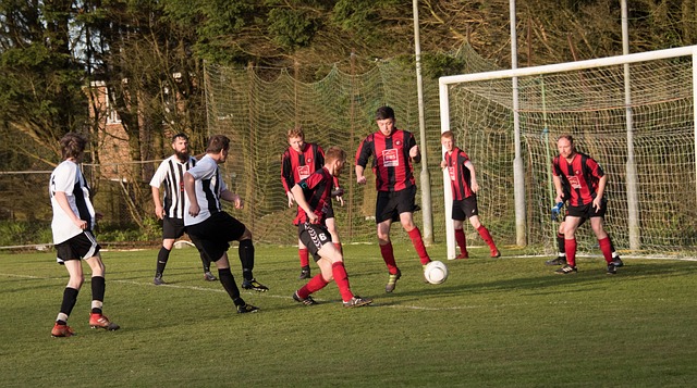 我们还看到 我们还看到