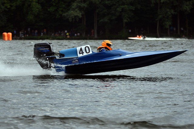 言败的象征 言败的象征